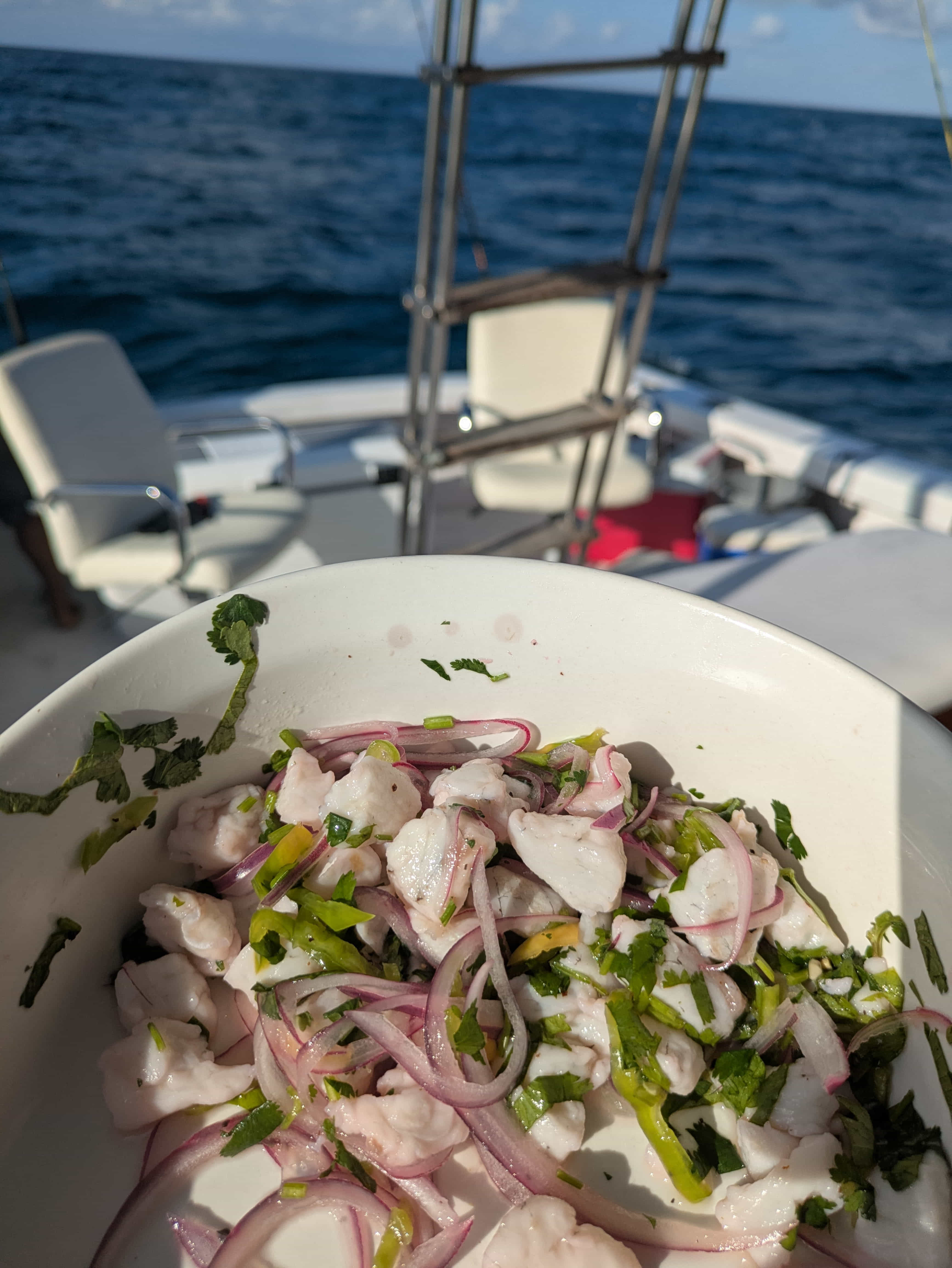 Zarza Expeditions Cancun adventure media 2 PXL_20250427_222721420