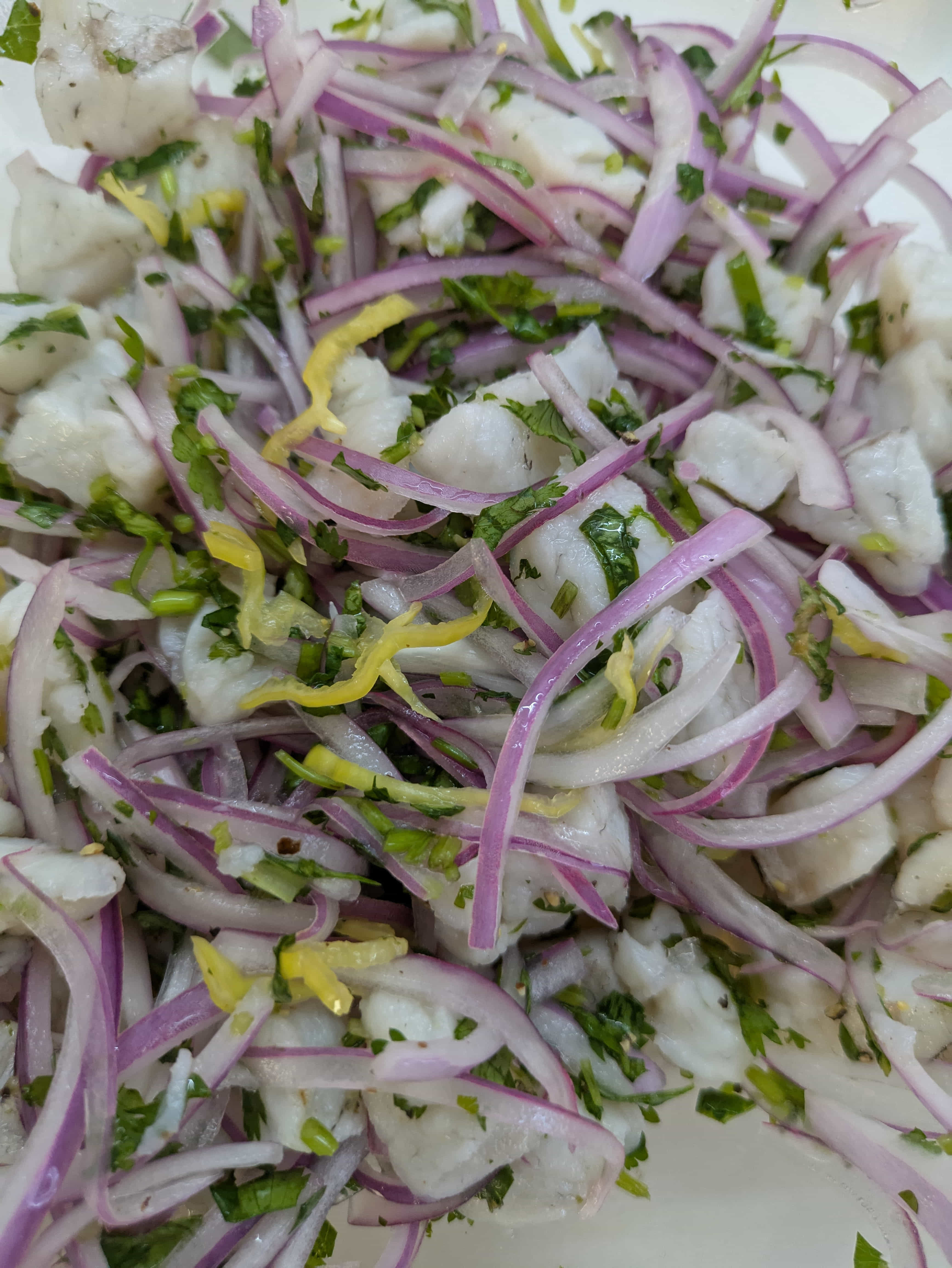 Zarza Expeditions Cancun adventure media 14 PXL_20250428_174532327